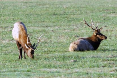Cape Blanco Lighthouse Oregon